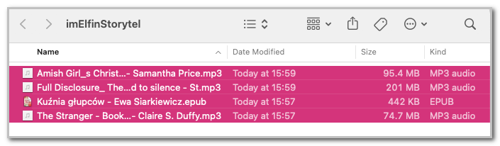 convert storytel audiobook and ebooks